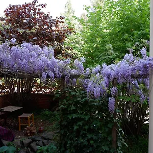 Elbe Garden Paradise Dresden
