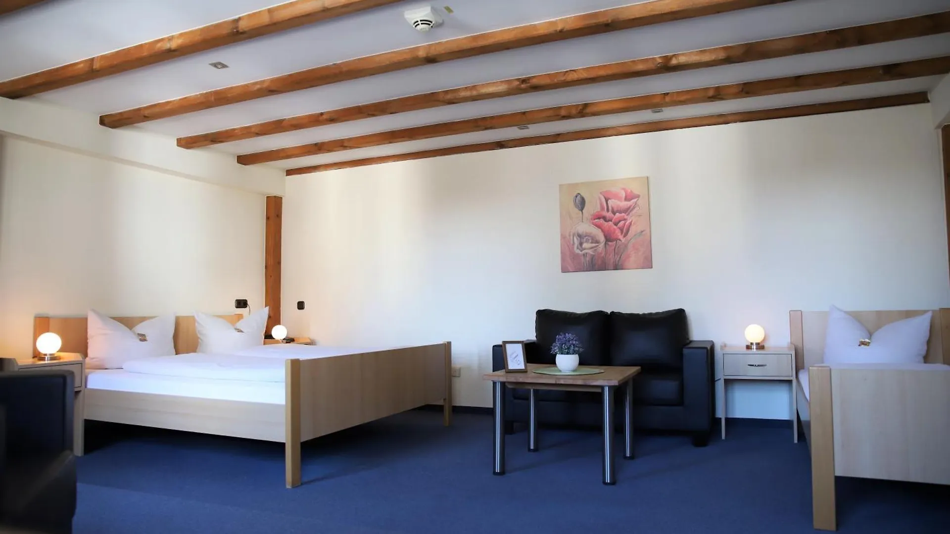 Hotel Zur Isar Plattling